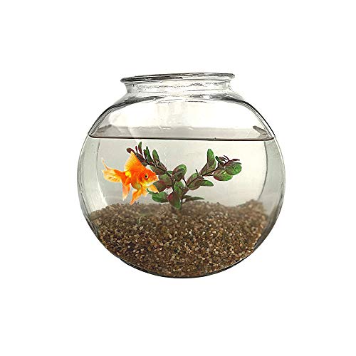 IPW Industries Water Softener Gravel - Garnet Filter Bed Media for Filter Tanks, Water Conditioners, and Water Softeners - Pure Filtration Grade IPW Industries Inc.