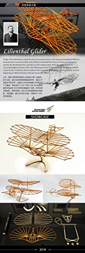 3D Wooden Puzzles Airplane DIY Otto Lilienthal Glider, Laser Cut Balsa Model Airplane Kits to Build for Adults, Perfect Wood Models Plane for Men Viloga
