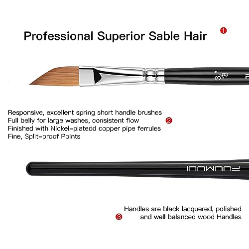 Sable Watercolor Brushes Professional Kolinsky Watercolor Artist Paint Brushes 7pcs, Pointed Rounds, Rigger, Long Flat, Dagger, Fan for Watercolor Fuumuui