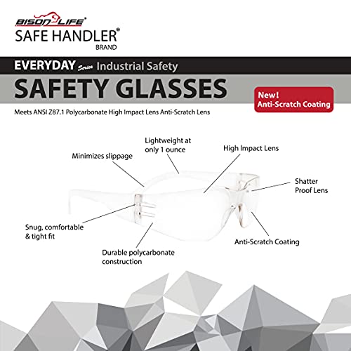 BISON LIFE Safety Glasses, One Size, Clear Protective Polycarbonate Lens, 12 per Box (1 box) BISON LIFE