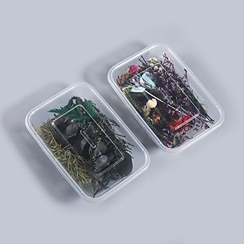 AGCFABS 1 Box Random Real Dried Flower Resin Mold Fillings UV Expoxy Flower for Epoxy Resin Molds Jewelry Making Craft DIY Accessories (Random) AGCFABS