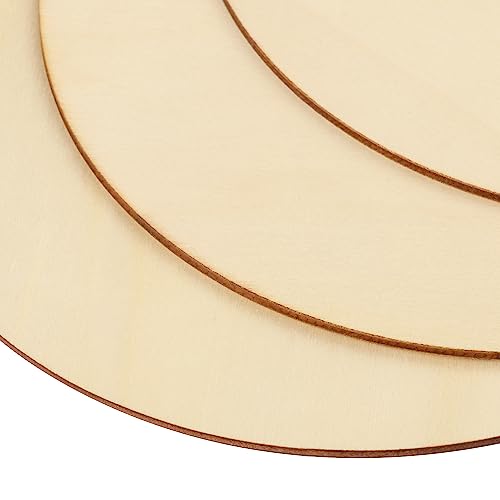 40 PCS 7.9 Inch Wood Circles, Thickness 2.5 mm Unfinished Wood Circles, Plywood Circles, Craft Unfinished Wood Discs for DIY Crafts, Door Hanger, GNIEMCKIN