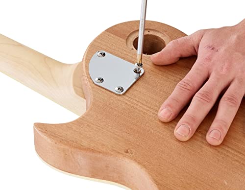 Single Cut Electric Guitar Kit SC Generic