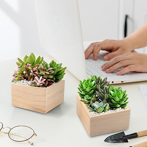 GNIEMCKIN 20 Pack 4 x 4 Inch Wooden Box, Unfinished Small Square Wooden Box, Rustic Wooden Box, Organizer Storage wood Box for DIY Crafts, GNIEMCKIN