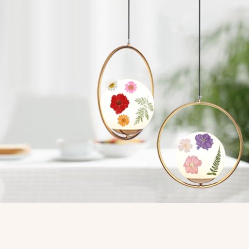 180Pcs Dried Pressed Flowers Resin Mold Real Pressed Flowers Natural Dry Leaves Bulk Mixed Colorful Daisy Herbs Kit with Tweezers for Scrapbooking Gvhntk