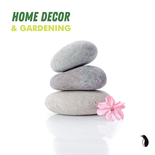 PGN 40 River Rocks for Painting - Stimulate Your Children’s Creativity with Our Painting Rocks for Kids - Flat and Smooth- Fun & Engaging Rock PGN