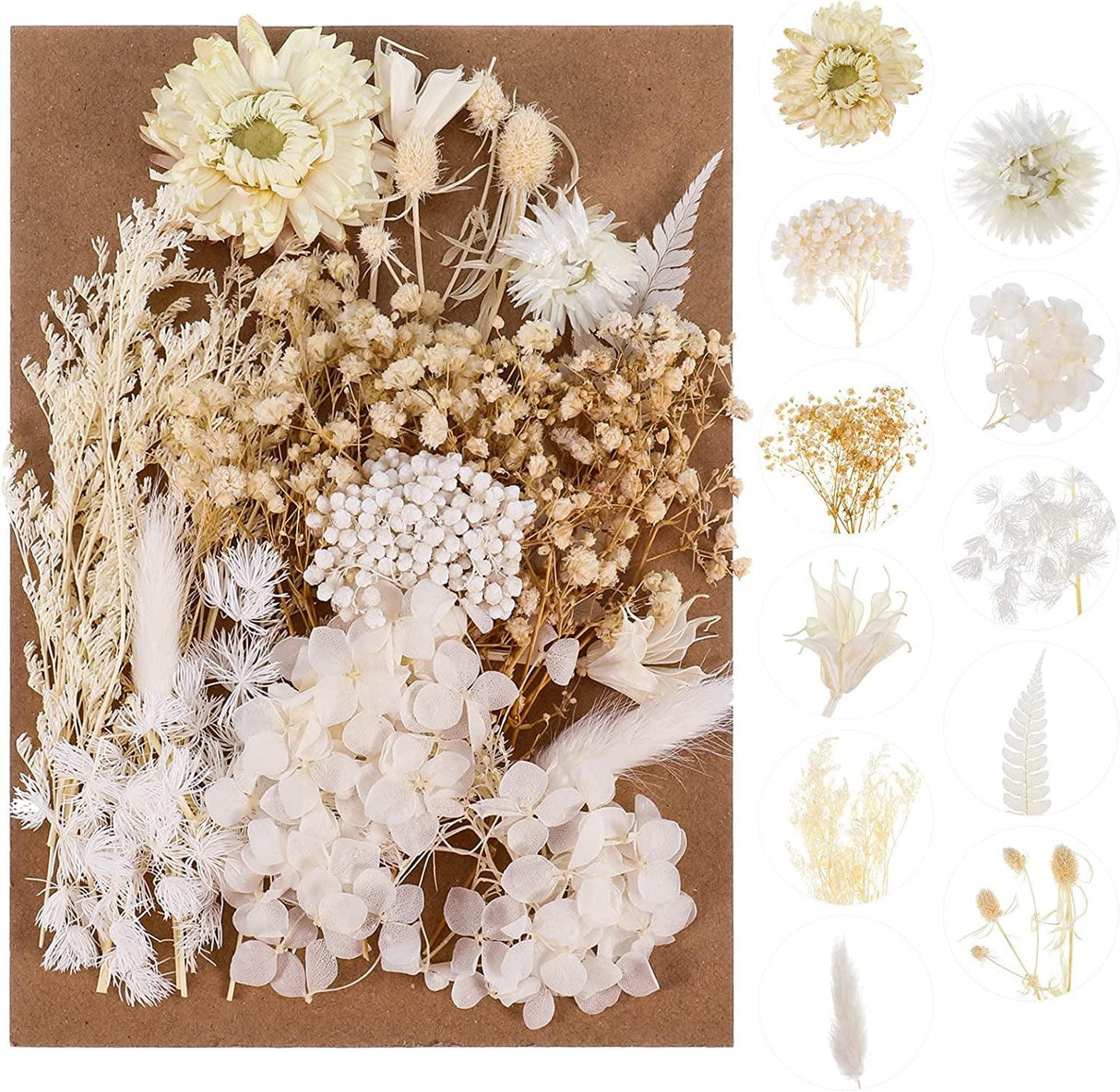 Real Dried Flowers, Natural Dried Flowers Mixed, Hydrangeas, Daisies, Natural Pressed Flowers White Decorative Dried Flowers for DIY Candle Resin WoodArtSupply