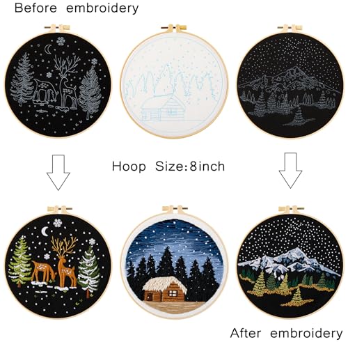 Armindou Embroidery Kit for Beginner Adults, Counted Stamped Cross Stitch kit for Adult Beginner, Hand Embroidery Starter Kits with Pattern, 3 Armindou