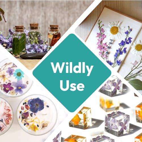 Resiners 100Pcs Dried Pressed Flowers for Resin Molds, Blue Real Natural Dried Flowers Dry Leaves kit for Scrapbook Supplies Card Making Resin Resiners