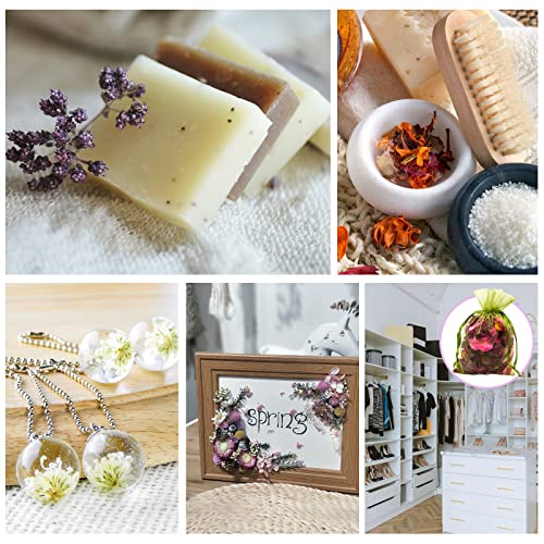 SACATR Dried Flowers, 50 Bags 100% Natural Dried Herbs Kit for Soap Making, Candle, Resin Jewelry Making, Bath, Nail - Include Rose Petals, Rosebuds, SACATR