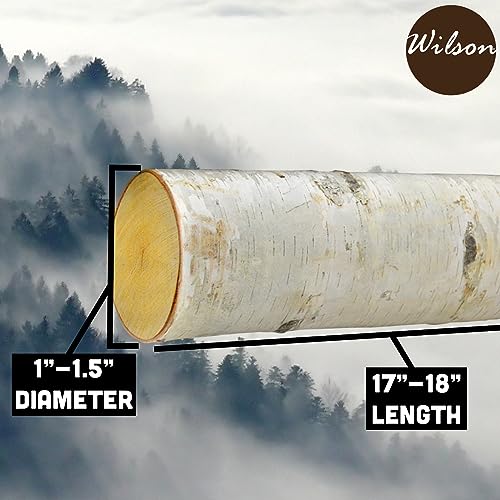Wilson Decorative White Birch Logs, Natural Bark Wood Home Décor (Set of 12) - 17"-18" in Length 1"-1.5" Dia. Wilson
