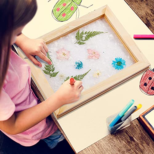 Honoson 3 Pieces Paper Making Wooden Paper Making Mould Papermaking Screen Kit 3 Size Frame for DIY Paper Craft (5 x 7 Inches, 7.5 x 9.8 Inches, 9.8 Honoson