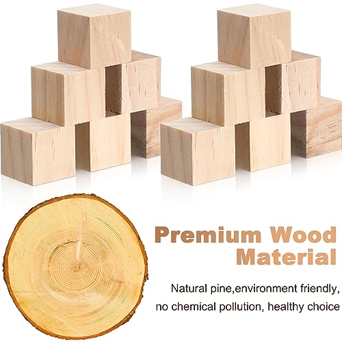 Barydat 300 Piece 1 Inch Wooden Cube Unfinished Wooden Craft Cube Natural Blank Wooden Block for Craft Wood Square Block Cube Craft Wood Craft Supply Barydat