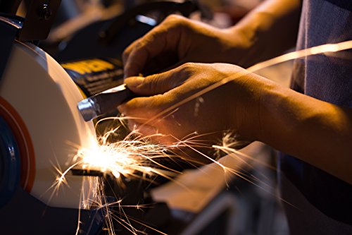 WEN BG4286 3-Amp 8-Inch Slow Speed Bench Grinder, Orange,black WEN