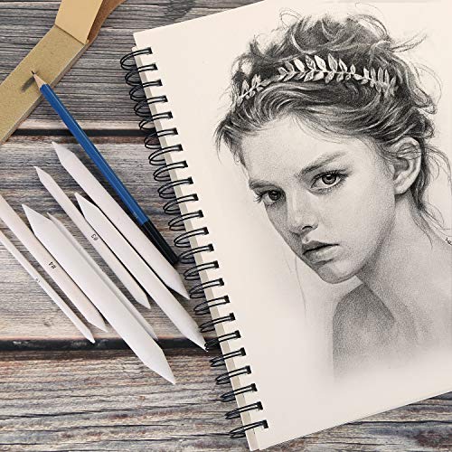 AGPTEK 22 PCS Sketch Drawing Tools, 16 Blending Stumps Set with 2 Sandpaper Pencil Sharpeners, 1 Pencil Extension Tool, 2 Erasers & 1 Felt Bag for AGPTEK