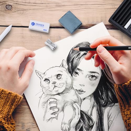 PANDAFLY Drawing Sketching Pencil Set, 22 Piece Pro Art Pencil Kit - Graphite Pencils (12B-2H), Black and White Charcoal Pencils, Charcoal Sticks, PANDAFLY