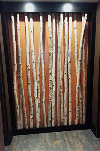 Wilson White Birch Decorative Poles - Natural Wood Bark Kiln Dried Home Décor, 7' L x 1.5-2.5" D (3 Poles) Wilson
