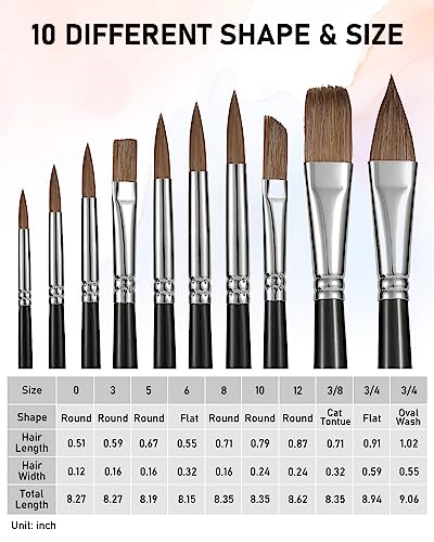 Nicpro 10 PCS Sable Watercolor Brush Set, Professional Watercolor Paint Brushes, Artist Kolinsky Variety Shapes with Flat Round Pointed Paint Brush Nicpro