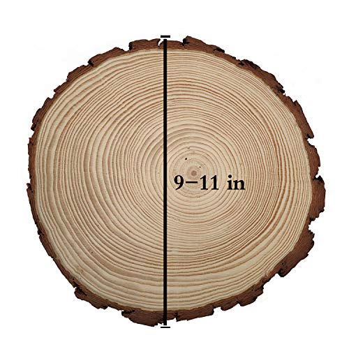 Natural Wood Slices Round Pine Wood Slabs 5 Pack Round Rustic Woods Slices 9"-11" Rustic Tree Bark Slice Weathered Log Disc Outdoor Country Barn BESTWD
