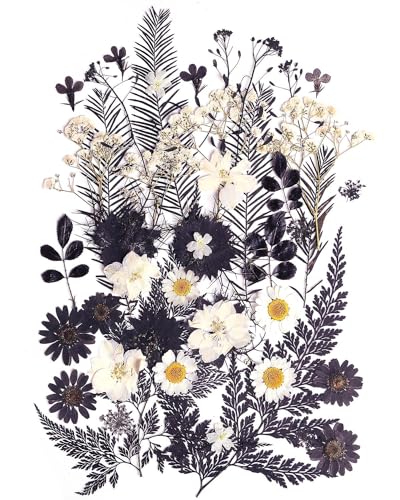 12 Types 48PCS Real Dried Pressed Flowers for Resin, Leaf Plant Herbarium for Jewelry Making Craft (Black and White) AHTONG