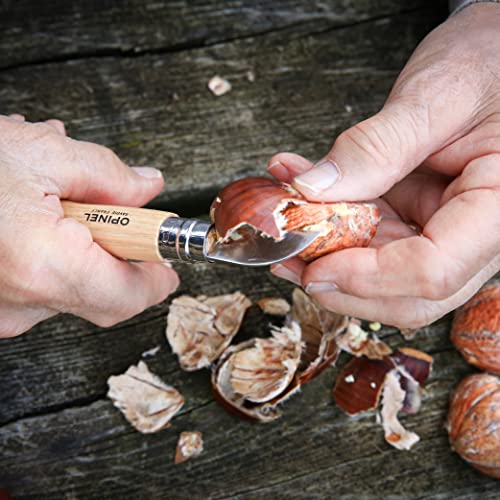 Opinel No.7 Folding Chestnut and Garlic Knife, European Chestnut Wood Handle, 12C27 Stainless Steel Blade Opinel