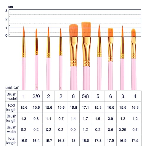 AROIC Acrylic Paint Brushes, 6 Packs/60 pcs Nylon Hair Paint Brush Set for All Purpose Oil Watercolor Painting Artist Professional Kits (Pink) AROIC