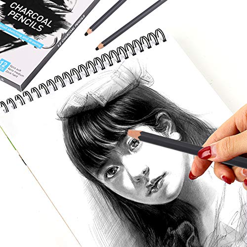 Sunshilor Professional Charcoal Pencils Drawing Set - 12 Pieces Soft Medium and Hard Charcoal Pencils for Drawing, Sketching, Shading, Artist Pencils Sunshilor