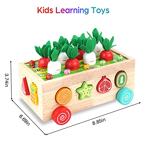 Toddlers Montessori Wooden Educational Toys for Baby Boys Girls Age 1 2 3 Year Old, Shape Sorting Toys 1st One First Birthday Girl Gifts for Kids KMTJT