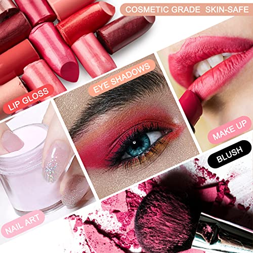 Mica Powder 24 Color 10g Each Pack, Pigment Powder Set for Painting, Nail Polish, Fine Arts, Lip Gloss, Makeup, Bath Bomb, Handmade Soap Making and SEISSO