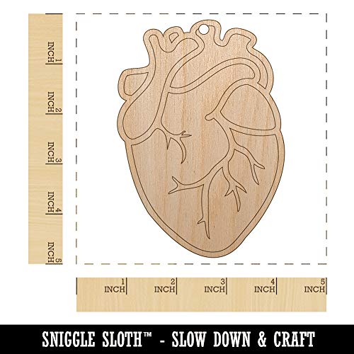Realistic Human Heart Unfinished Craft Wood Holiday Christmas Tree DIY Pre-Drilled Ornament Sniggle Sloth