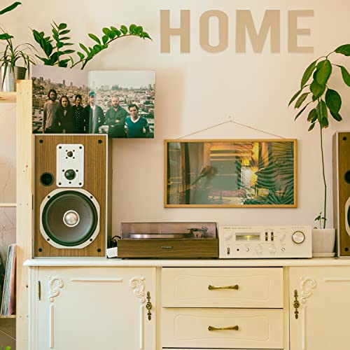 Wooden Numbers 12 Inch, Large Wooden Number 0 Shapes Cutouts Big Blank Unfinished Wood Numbers for DIY Craft Wall Decor Painting Birthday Wedding Hongma