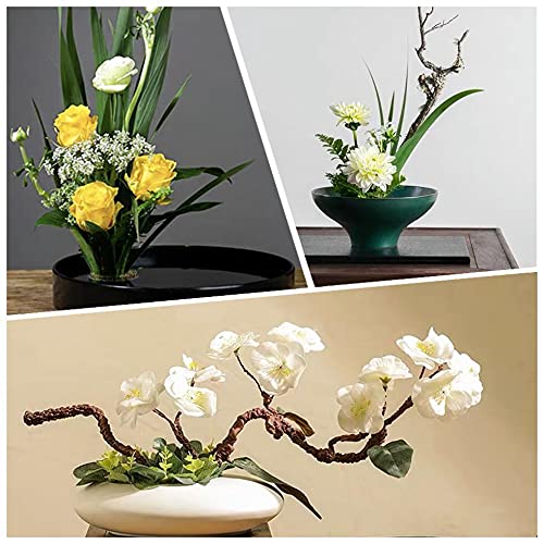 3 Pcs Flower Frogs for Flower Arrangements Supplies, Japanese Flower Arranging Ikebana Kenzan, Pin Frogs for Flowers Holder with Rubber Base Flower Eggone