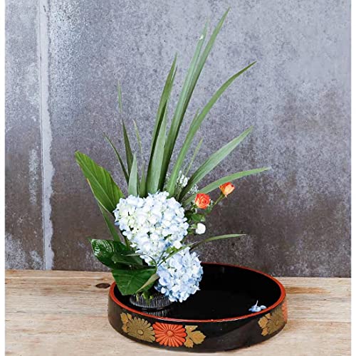 Japanese Flower Frog Ikebana Vase Kit Flower Container with 2.4" Floral Frog and 2 in 1 Kenzan Needle Straightening Tool-8.3" Plastic Ikebana Bowl Eggone