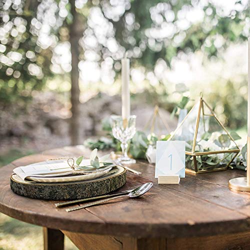 PartyKindom 2Pcs Wood Chips Wine Coaster Hand Decor Wooden Rustic Coasters Cups Place Mat Table Coasters for Drinks Round Wood Slices Tree Slab Tree PartyKindom