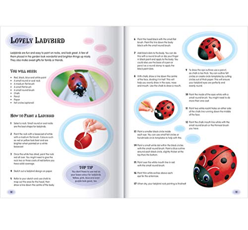 Hide and Seek Rock Painting Kit-This Complete Starter Kit includes all you need to create over 15 Quirky Rock-Art Creations Hinkler