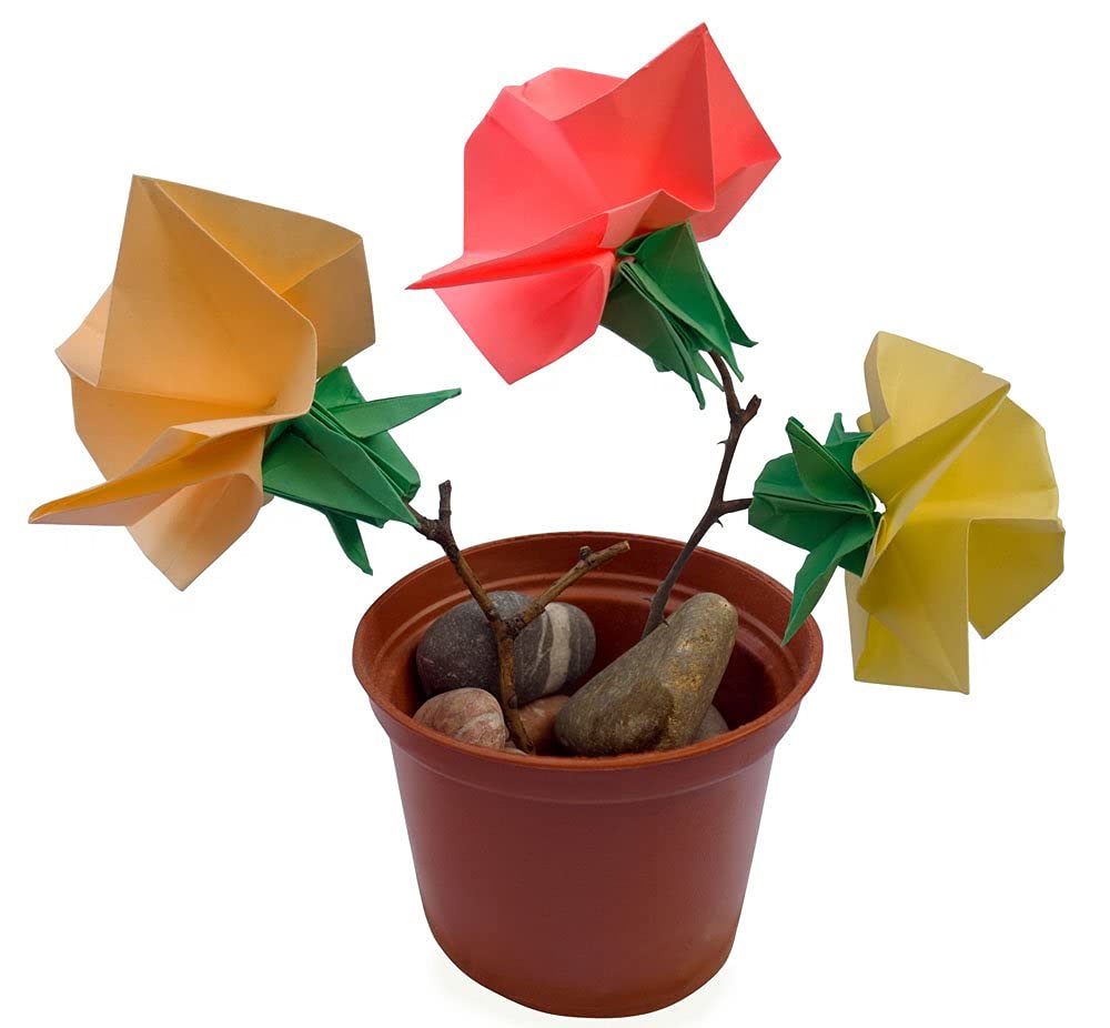 BUBU Origami Paper Kit 1000 Sheets 6 Inch Square Double Sided Color 20 Vivid Colors for Beginners Trainning and School Craft Lessons BUBU