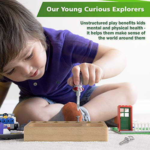 Panda Brothers Montessori Screwdriver Board Set - Wooden Montessori Toys for 4 Year Old Kids and Toddlers, Learning Sensory Bin Toys Preschool Panda Brothers