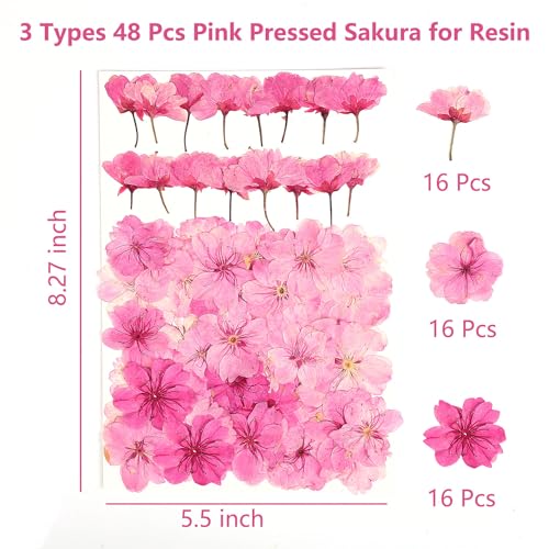 48 Pcs Mix Cherry Blossom Natural Dried Pressed Flowers for Cake Decorating, Real Dry Flower for Resin Jewelry Making, DIY Art Crafts - Pink Sakura… AHTONG