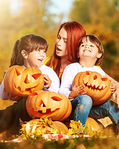 Greatever Halloween Pumpkin Carving Kit,Professional and Heavy Duty Stainless Steel Tools,Pumpkin Carving Set with Carrying Case(7pcs) Greatever