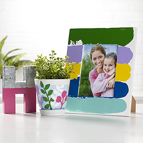 Apple Barrel Acrylic Paint Set (2-Ounce), Best Colors Count, 32 Fl Oz (Pack of 16) Apple Barrel