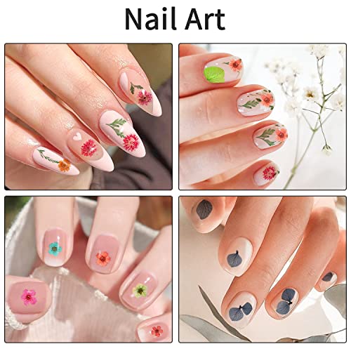 4 Boxes Dried Flowers for Resin, Gartful 48 Styles Natural 3D Applique Flowers DIY Craft Supplies, Resin Epoxy Casting Fillers for Silicone Molds, Gartful