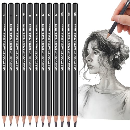 Heshengping, Sketching Pencil Set Drawing Pen Charcoal Sketch Kit Cover Graphite  Pencils Charcoal Pencils Watercolor Pencils Paper Erasable Pen Beginners  Artist Children and Adults(39pcs Art Supplies) 39 Piece Set