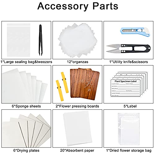 WANDIC Four Leaf Clover Flower Press Kit, Wooden Art Kit Plant Press Book Flower Fruit Press Kit for DIY Art Handicrafts Specimens Outdoor Learning WANDIC