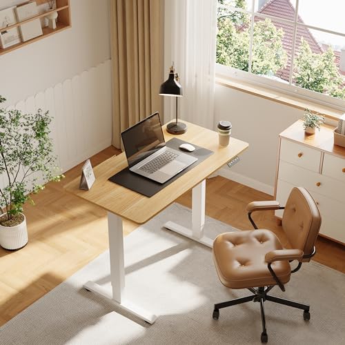 FitStand Adjustable Stand Up Desk with Whole Piece Desk Board, 44 x 24 Inch Electric Standing Desk Home Office Desk Computer Workstation Sit Stand FitStand