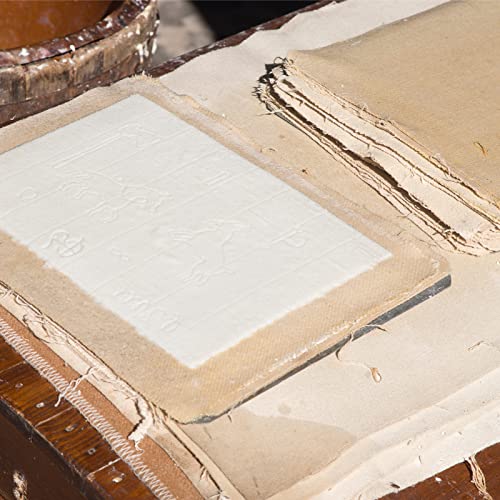 Caydo 3 Pieces Paper Making Frame Kit, Papermaking Mould and Deckle with Mesh, Absorbent Paper and Sponge for Kids Adults Supplies(5 x 7 Inches, 7.5 Caydo