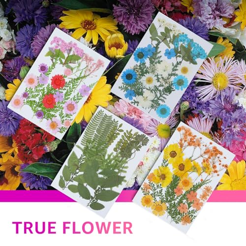 96Pcs Dried Flowers for Resin, Bulk Natural Dried Pressed Flowers,for Scrapbooking DIY Art Crafts Resin Accessories, Soap,Candle Making, Nails Decor, Kaddmedia