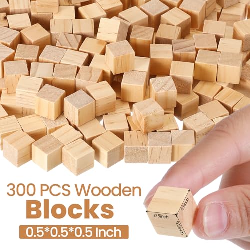 Barydat 300 Pcs Wooden Cube Unfinished Wooden Craft Cube Natural Blank Wooden Block for Craft Square Wood Block Cube Craft Wood Craft Supply Wood Barydat