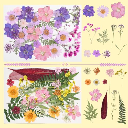 180Pcs Dried Pressed Flowers Resin Mold Real Pressed Flowers Natural Dry Leaves Bulk Mixed Colorful Daisy Herbs Kit with Tweezers for Scrapbooking Gvhntk