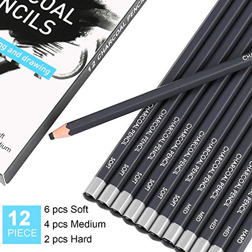 Sunshilor Professional Charcoal Pencils Drawing Set - 12 Pieces Soft Medium and Hard Charcoal Pencils for Drawing, Sketching, Shading, Artist Pencils Sunshilor