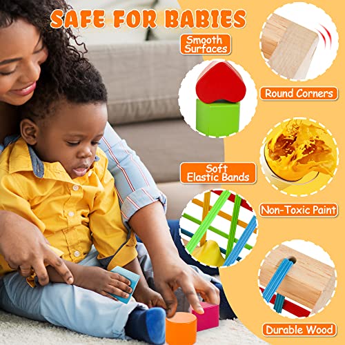 HELLOWOOD Montessori Toys for 1+ Year Old, Wooden Sorter Cube with 8pcs Rattling Shapes, Developmental Learning Toy Gifts for Baby Girls Boys 6-12-18 HELLOWOOD